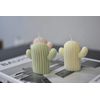 handmade scented soycandles catcus gifts home decor