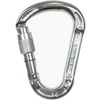 Climbing Technology Concept SG Carabiner, grey