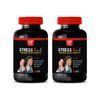stress b complex with vitamin c - STRESS SUPPORT FORMULA - immune system 2 BOTTL