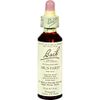 Mustard - 20 ml - Liquid