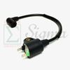Magneto Ignition Coil Plug For Pulsar PG1202S 900 1200W 2-Stroke 2HP Generator