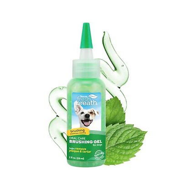 Oral Care Brushing Gel for Dogs & Cats – Pet Toothpaste for Teeth Cleaning, 2 oz