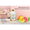 THERAPINA FRESH CITRUS HAND WASH 16OZ