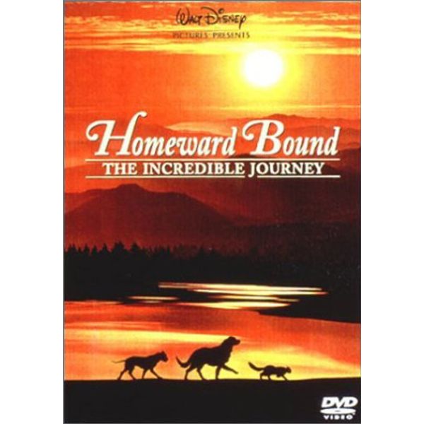奇跡の旅 [DVD]