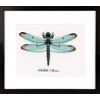 Vervaco Dragonfly, Polyester Cotton, Assorted, 40 x 2 x 20 cm