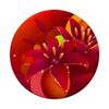 Cute Red PopSocket Red PopSockets for Women Pop Socket Red PopSockets Adhesive PopGrip