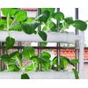 36 Sites  Wall-mounted Hydroponic Grow Kit Veranda Planting Hydroponic Tools