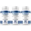 Fungus Exodus - Digestive System Dietary Supplement 60 Capsules (3 Pack)