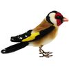 BH8208 HANSA Sandfinch 13
