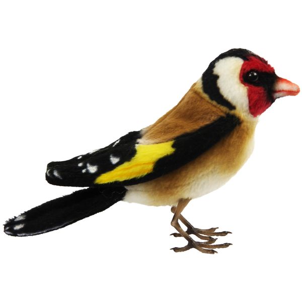 BH8208 HANSA Sandfinch 13