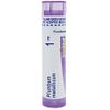 Boiron Plumbum Metallicum 1M for Constipation While Traveling - 80 Pellets
