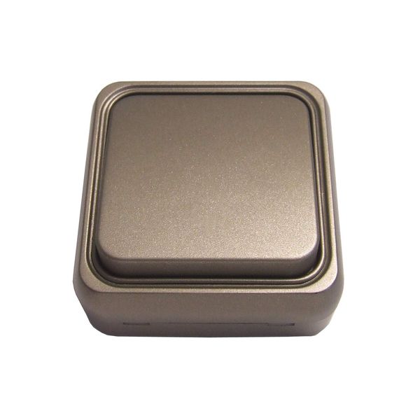 BF BF-18 - Switch Switch 18 Surface 10A Bronze Pouch