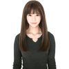 Wig Wig Medium Semi Long Full Wig. Long Wig Women's Wig Straight Natural Therapeutic Harajuku Series Small Face Effect Net with Heat-Resistant misicakoo , darkbrown