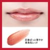 Curel Lip Care Cream Beauty Coloring Red