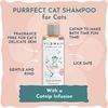 Wild Wash Organic Cat Shampoo 250ml B Corp Certified