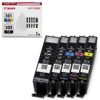 canon bci-301+300/5mp small