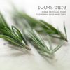NOW ROSEMARY OIL 4 OZ