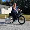 Dog Bike Leash Attachment,Second Generation Built-in Shock Absorption System ...