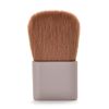 Canmake Glow Fleur Cheeks Blush 02 Apricot Fleur, 0.2 oz. (6.3 g)