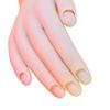 Generic Movable False Hand Nail Art Display Show Practice Tool