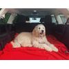 TOP 100% Waterproof Blanket Red/Grey Mid-Size 60x40 for Adults & Pets. Keep E...