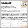 JBL TUNE FLEX Ghost Edition White Wireless Earphones Noise Cancelling In-Ear Type Inner Ear Type Open Ear Type Bluetooth iPhone Android PC Calling