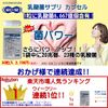 Lactic Acid Bacteria Supplement 20 Trillion Pieces 23 Types of Lactic Acid Bacteria + Enzyme Probiotic Bacteria Power 30 Tablets 30 Days x 6 Pieces Bifidobacterium Faecalis EC-12