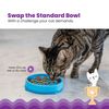 Catstages Cat Slow Feeder Cat Bowl, Blue