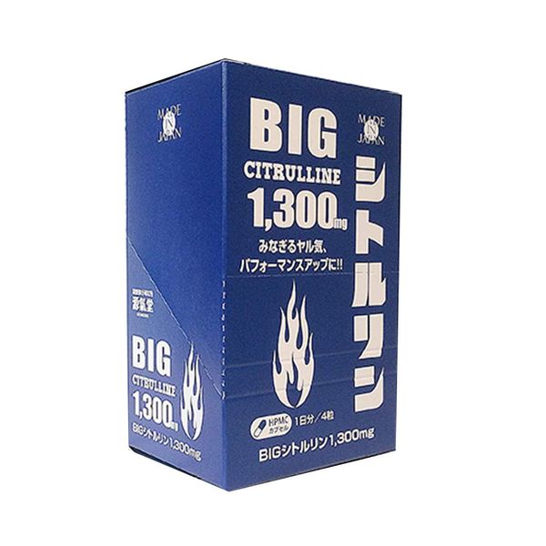 Life Support Big sitorurin 1 MG 10 Day Pack