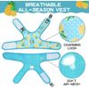 BINGPET Cat Harness - Mesh Dog Walking Harness with Adjustable Leash - Pineapple