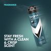 Degree Men Antiperspirant Deodorant Dry Spray Black+White 72-Hour Sweat & Odor Protection Antiperspirant for Men with MotionSense Technology 3.8 oz