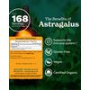 Herb Pharm Certified Organic Astragalus Liquid Extract for Immune System Support - 4 Ounce