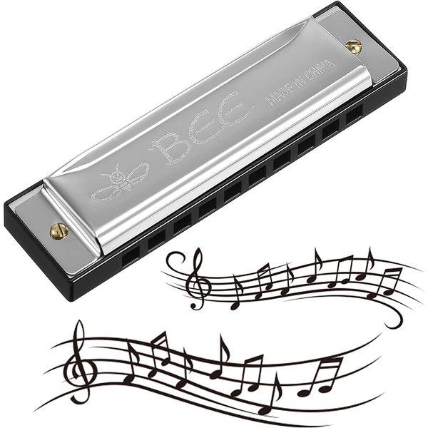 RosewineC Harmonica, 10 Holes 20 Tones Mouth Organ Key of C Stainless Steel Mini Blues Harmonica for Kids Adults Beginners and Performers