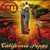 California Poppy