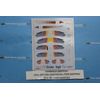 Amodel 7298 Christen Eagle II plastic model kit scale 1/72
