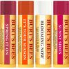 Burt's Bees Just Picked  Moisturizing Lip Balm Gift Set Beeswax (4/0.15oz each)