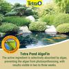 Tetra AlgoFin Blanket Weed Treament, 500 ml