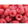 appetite suppressor - Raspberry Ketones 1200mg - slimming 1 Bottle 60 Capsules