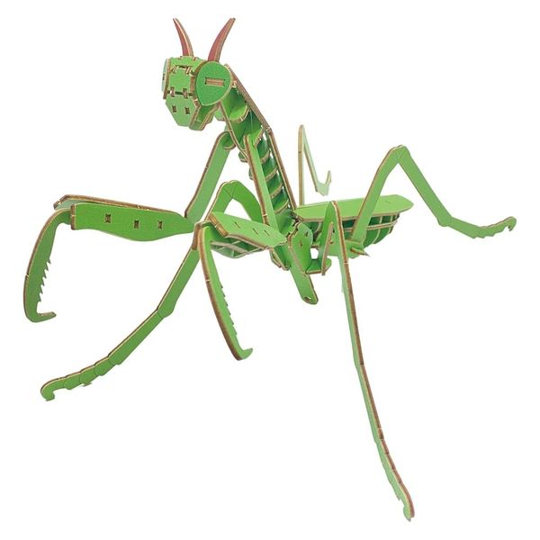 Tsukurundo ® Pocket Bugs (Colored Mantis Mantis Official Sales in Japan)