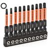 Professional 10-Pack 8 Point Torx Star & Double Square Bit Set - Premium S2 Allo