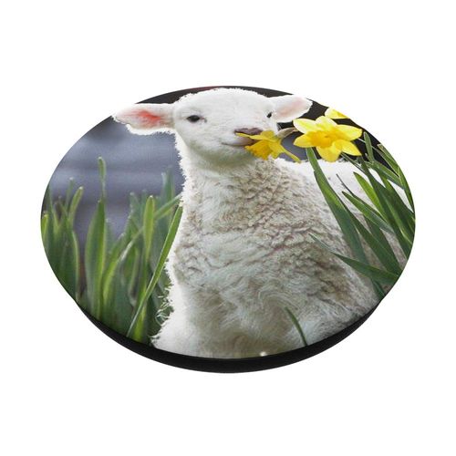 Cute Lamb Pop Socket PopSockets PopGrip: Swappable Grip for Phones & Tablets
