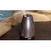 HealthSmart Essential Oil Diffuser and Cool Mist Humidifier