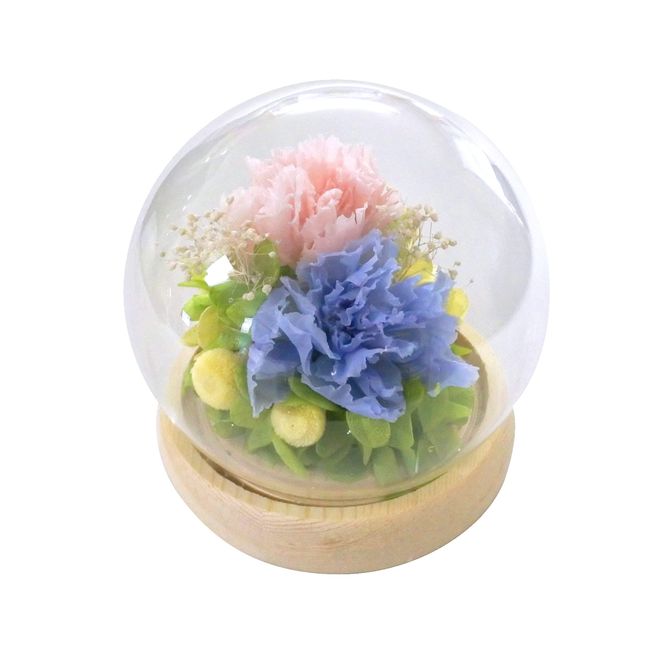 Tokai Wax Flower Gift Glass Dome Arrangement Sphere Blue C24950 Φ10x11.2cm