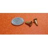 Brass #8  Phillips Flat Head Wood Screw x .500" Length, 100 Pcs