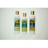 Chatto Shampoo Residue Free, 12 FZ