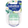 NIVEA Labellino Coconut Water & Aloe Vera (1 x 7 g), Lip Balm with Long-Lasting Moisturisation with Natural Oils, Shiny Lip Care with Coconut Water & Aloe Vera