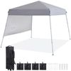 Outdoor Pop Up Canopy Beach Camping Canopy with 1 Sun Wall Backpack Bag Gray