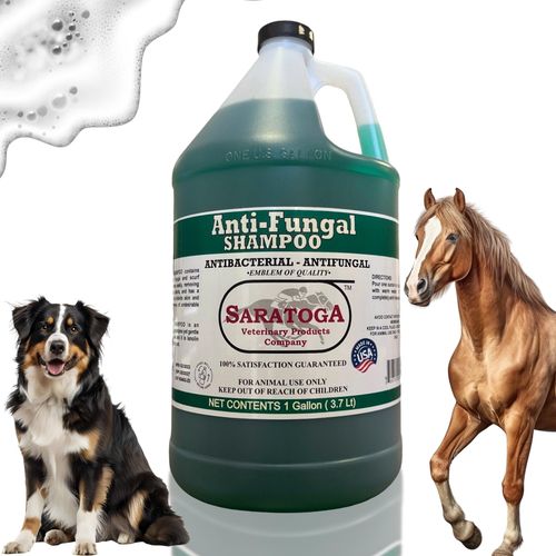 Saratoga Veterinary Product Antifungal Shampoo for Horses - Antibacterial Horse Shampoo and Conditioner - Effective Antifungal Horse Shampoo - Professional Quality Equine Care (1 Gallon)