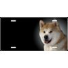Dachshund - Personalized FREE Custom License Plate Frame Auto Tag - Dog 