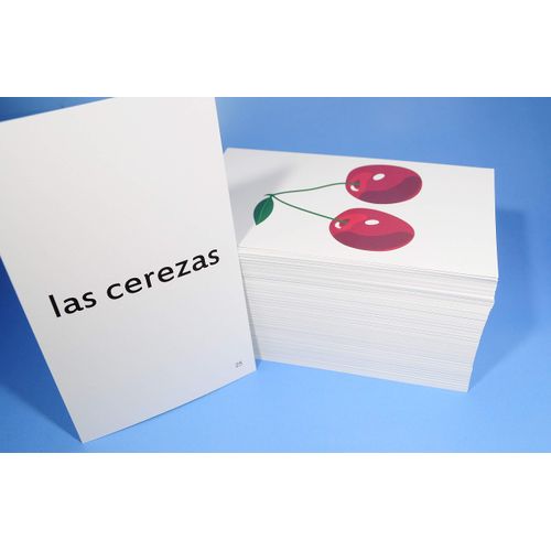 Pat's Flash Cards 192 Spanish Beginning Vocabulary Flash Cards with Original Artwork - For All Ages